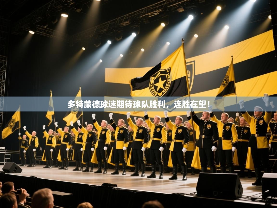 多特蒙德球迷期待球队胜利，连胜在望！  第1张